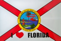 I Love Florida Flag Magnet
