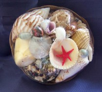 Shells in a Shell