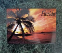 Florida Sunset Magnet